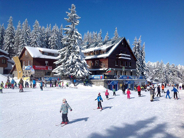 Vitosha 1